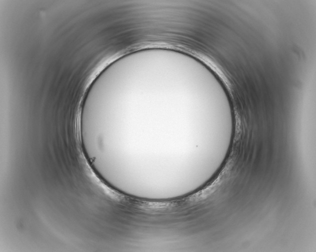 X0000111601290200907161206