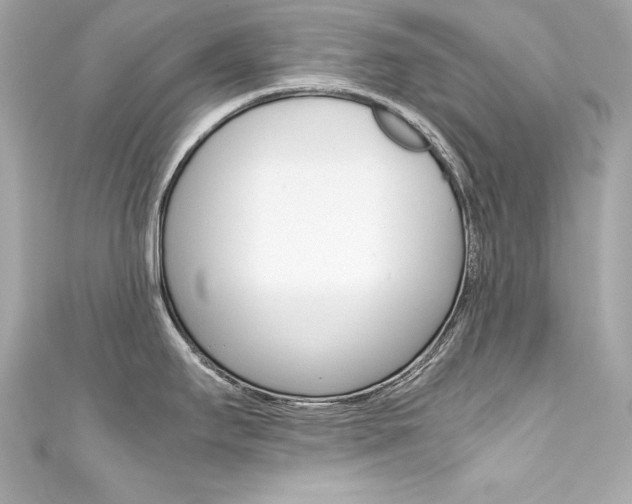 X0000111601295200907161206