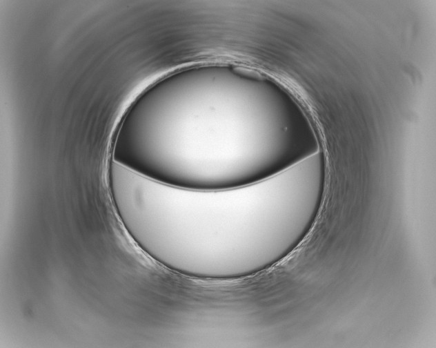 X0000111601296200907161206
