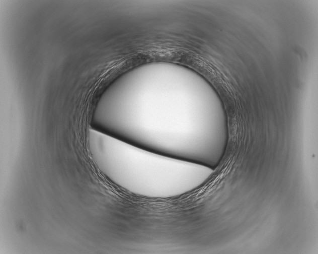 X0000111601297200907161205