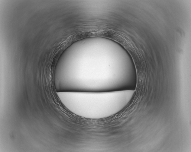 X0000111601298200907161205