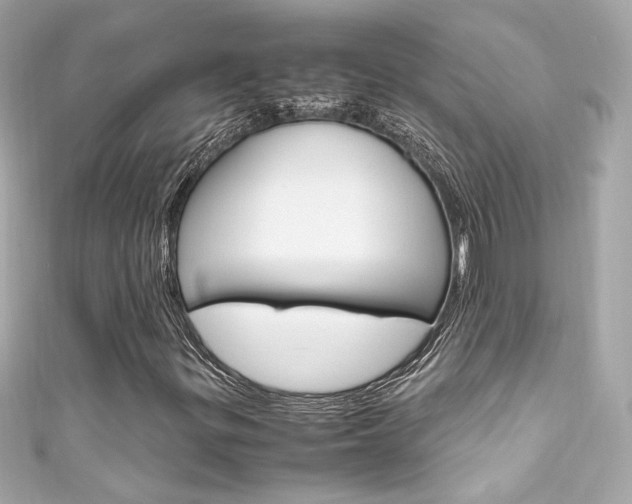 X0000111601299200907161205