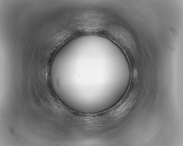 X0000111601300200907161205