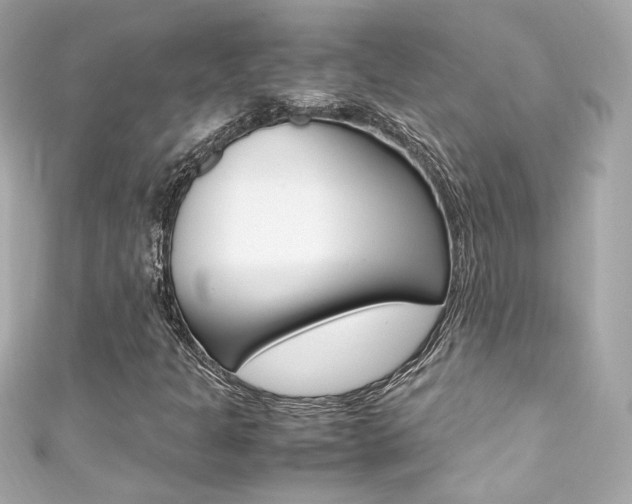 X0000111601301200907161205