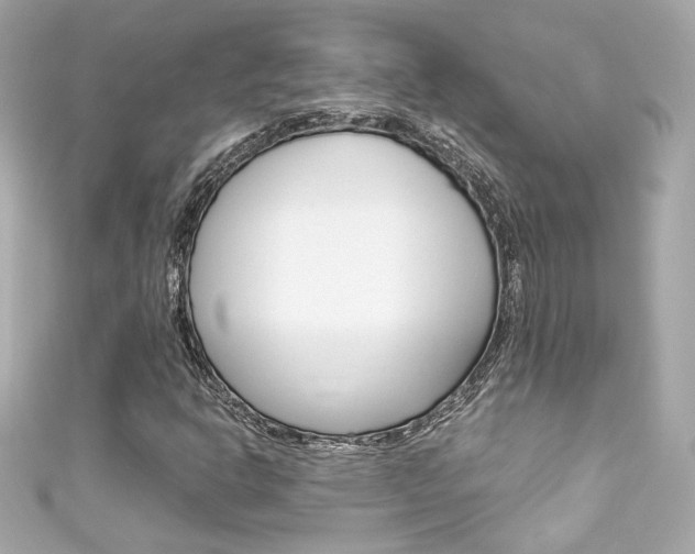 X0000111601302200907161205