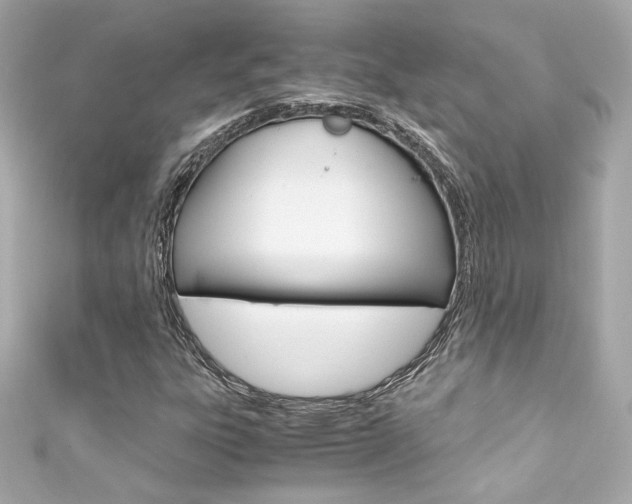 X0000111601303200907161205
