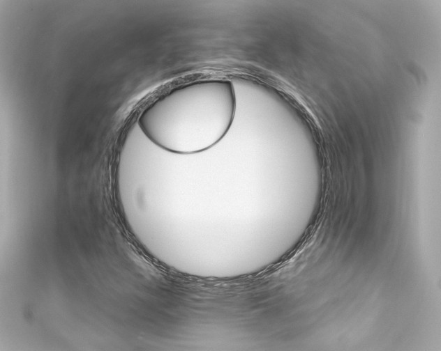 X0000111601304200907161205
