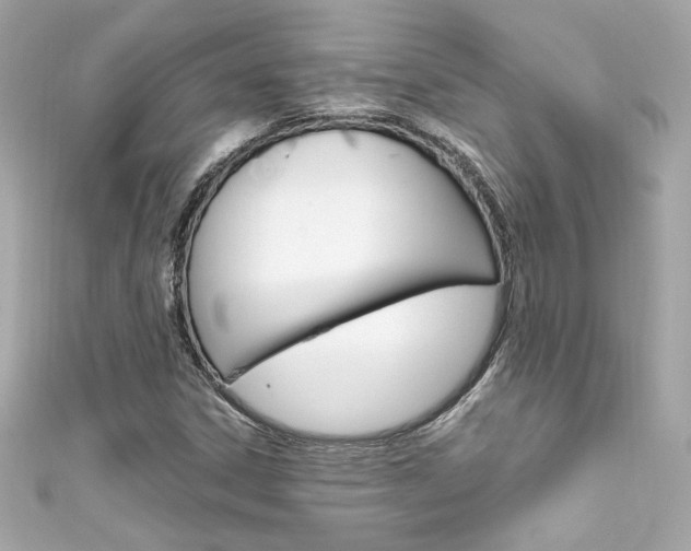 X0000111601306200907161205