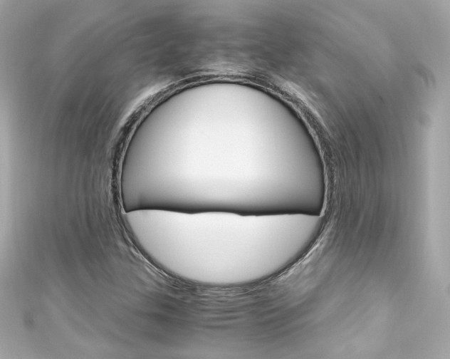 X0000111601307200907161205