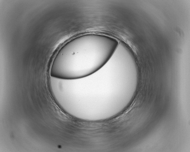 X0000111601308200907161205