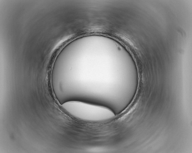 X0000111601309200907161205