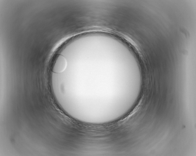 X0000111601310200907161205