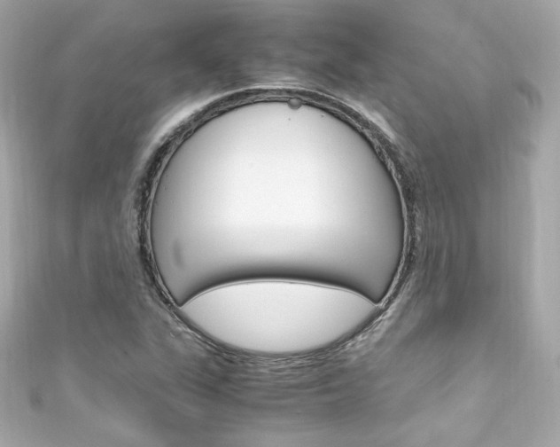 X0000111601311200907161205