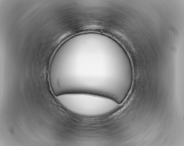 X0000111601313200907161205