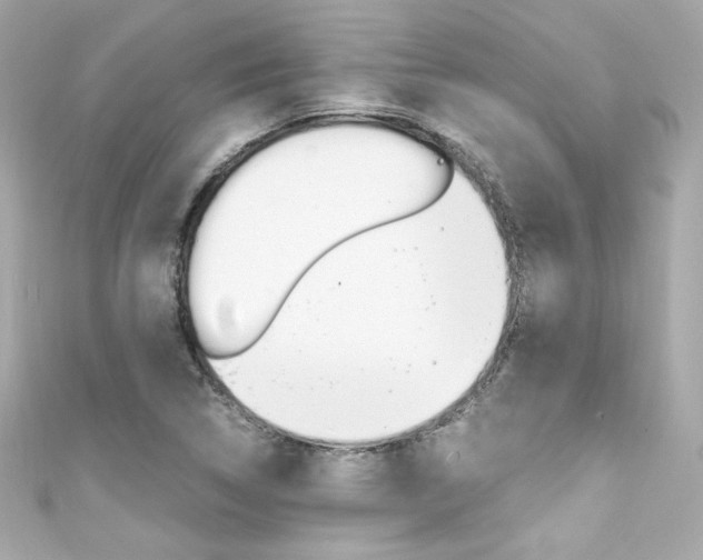 X0000111601314200907161205