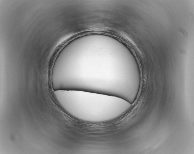 X0000111601315200907161205