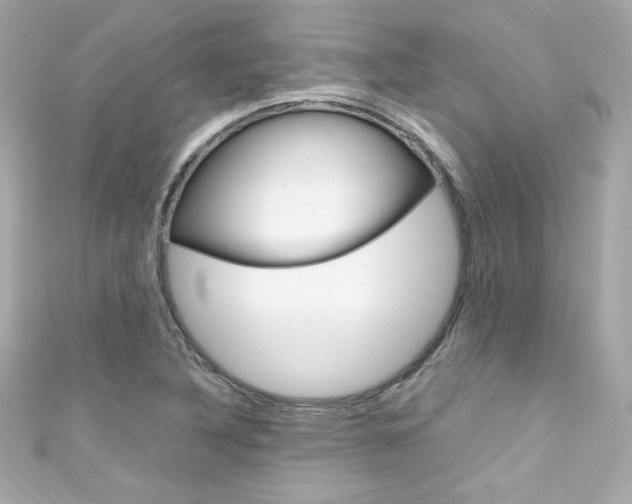 X0000111601316200907161205