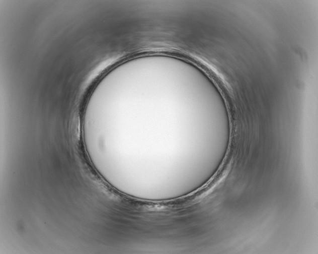 X0000111601317200907161205
