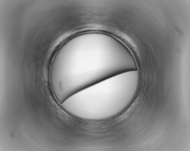 X0000111601318200907161205