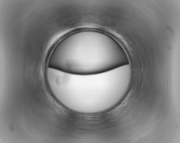 X0000111601319200907161205