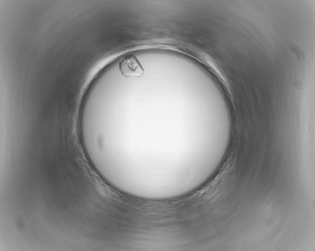 X0000111601320200907161205