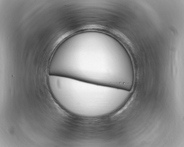 X0000111601321200907161205