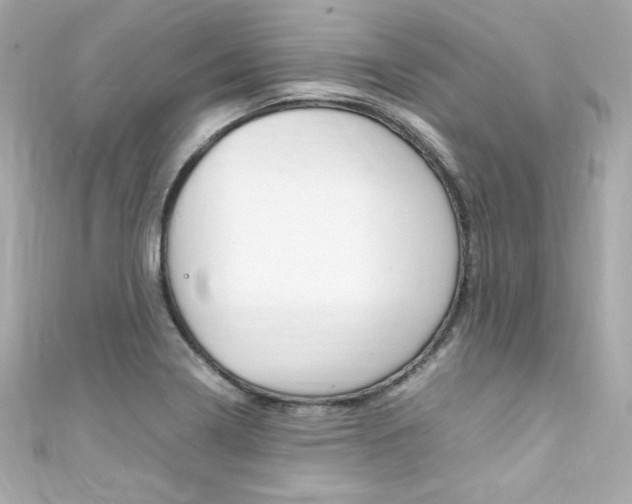 X0000111601322200907161205