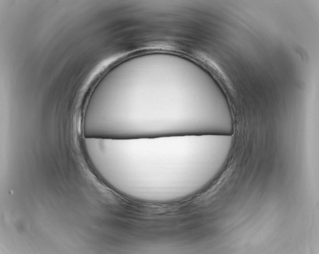 X0000111601323200907161205