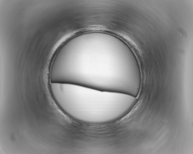 X0000111601325200907161206