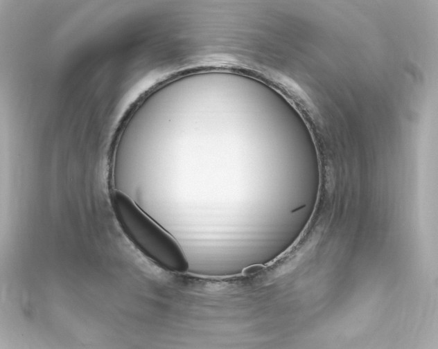 X0000111601326200907161206