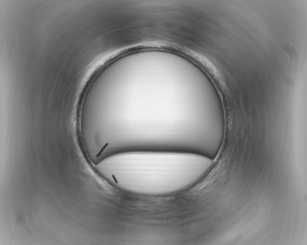 X0000111601327200907161206