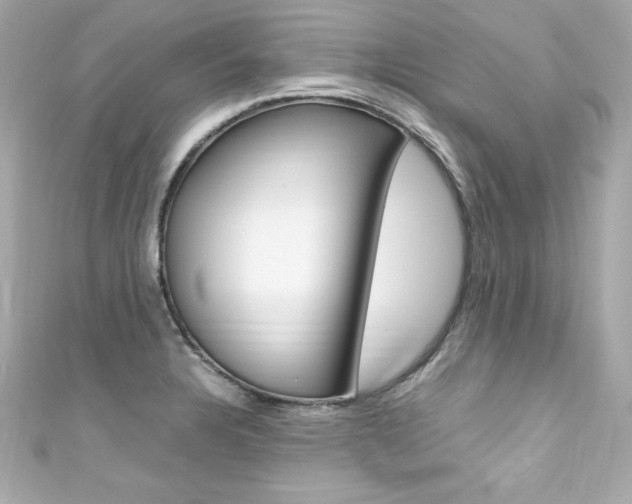 X0000111601328200907161206
