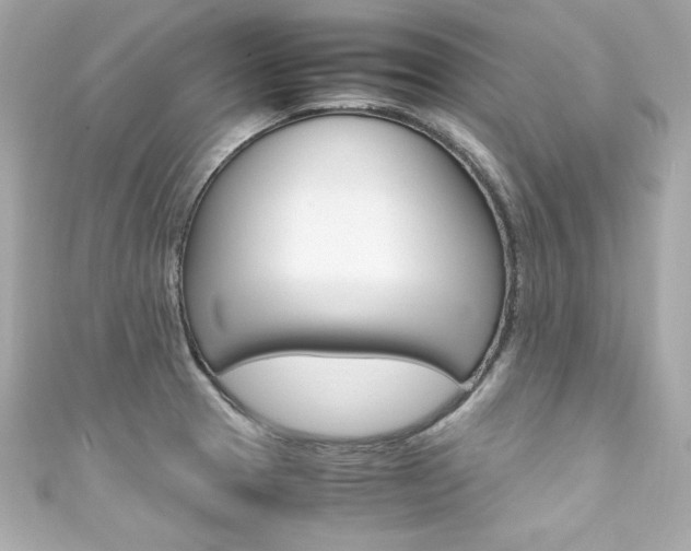 X0000111601329200907161206