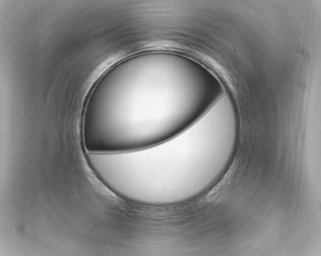 X0000111601330200907161206
