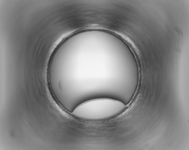 X0000111601333200907161206