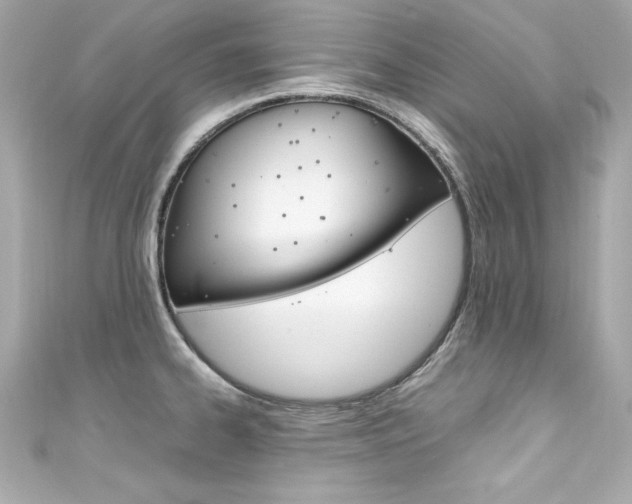 X0000111601334200907161206