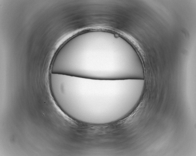 X0000111601335200907161206