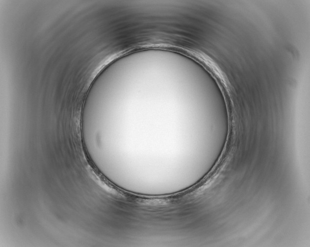 X0000111601337200907161206