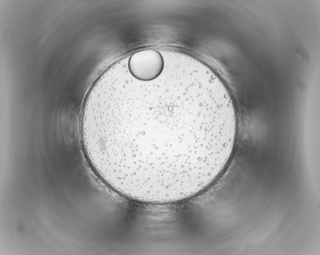X0000111601338200907161206