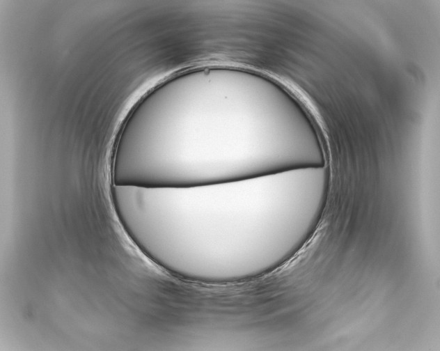 X0000111601341200907161206