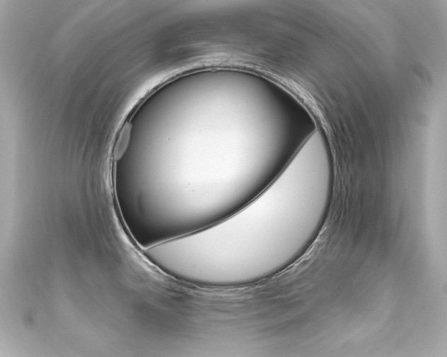 X0000111601342200907161206