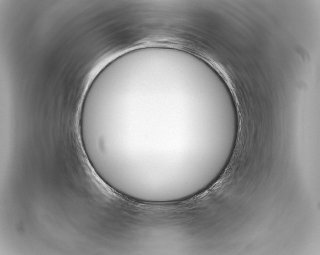 X0000111601344200907161206