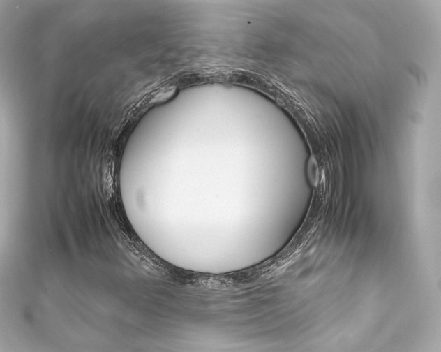 X0000111601348200907161205