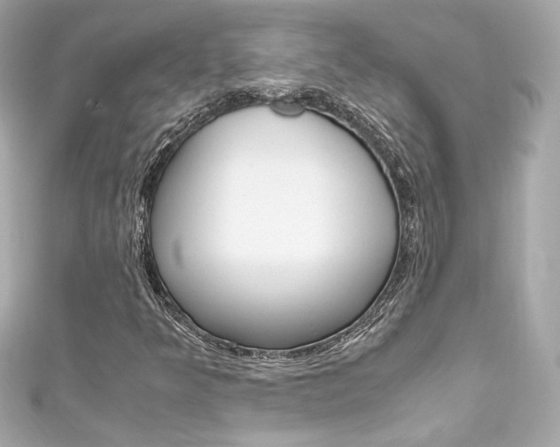 X0000111601349200907161205