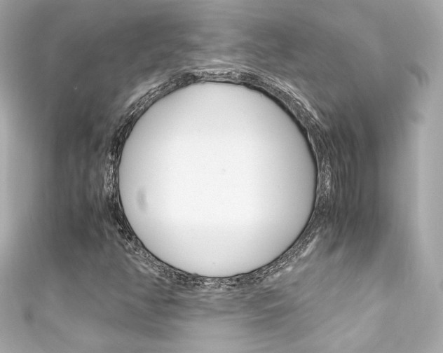 X0000111601350200907161205