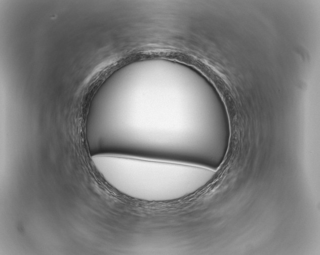X0000111601351200907161205