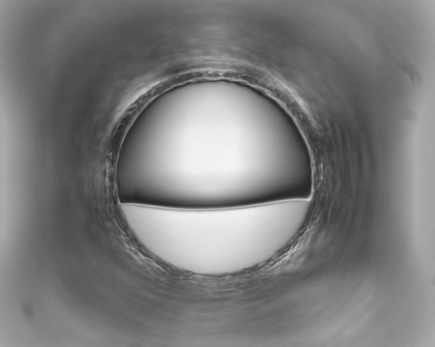 X0000111601352200907161205