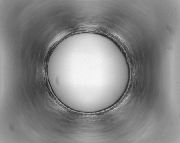 X0000111601354200907161205