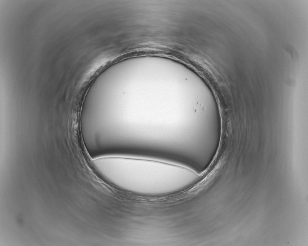 X0000111601355200907161205