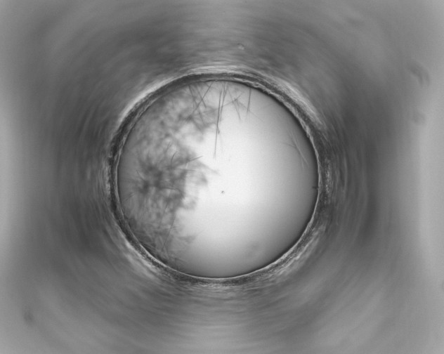 X0000111601356200907161205
